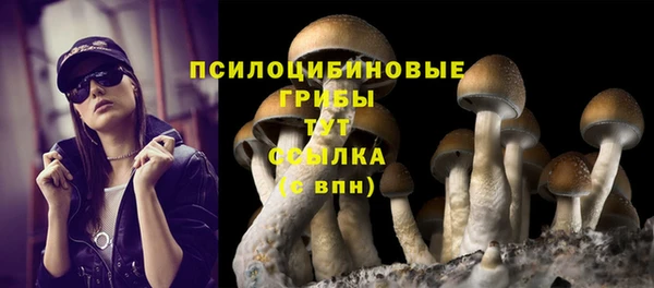 мдпв Богородицк