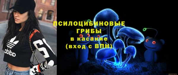 скорость Богданович