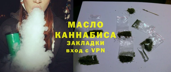 мдпв Богородицк