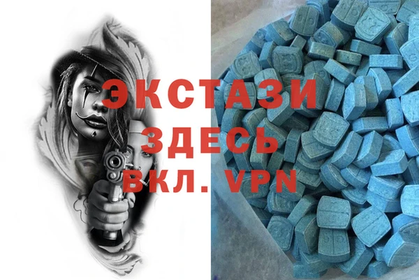 мдпв Богородицк