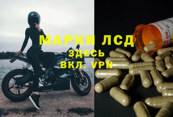 мдпв Богородицк