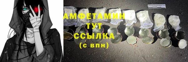 мдпв Богородицк