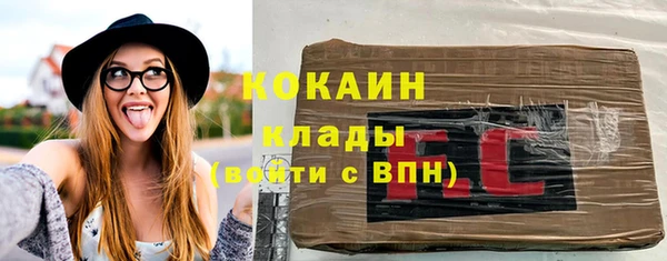 мдпв Богородицк