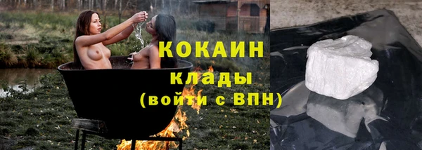 мдпв Богородицк