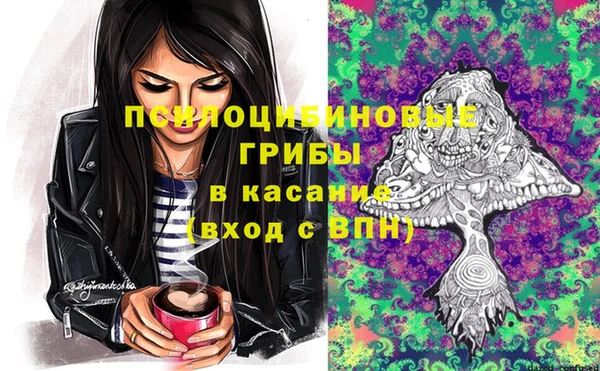 скорость Богданович