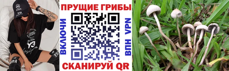 Псилоцибиновые грибы ЛСД  что такое наркотик  Красновишерск 